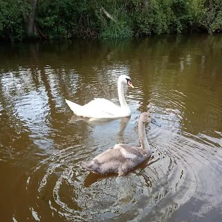 Cosy, Quirky, Tranquil, Secluded Boat *