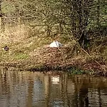 Cosy, Quirky, Tranquil, Secluded Boat Bell Busk