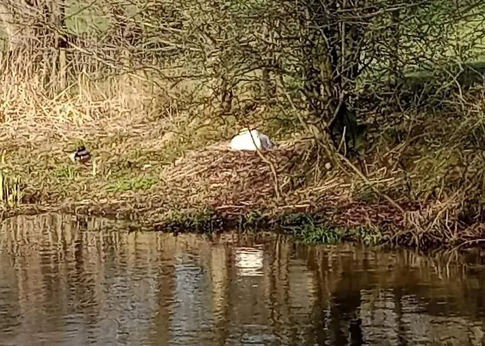 Cosy, Quirky, Tranquil, Secluded Boat Bell Busk